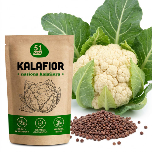 51seed blumenkohl samen early - 51seed,