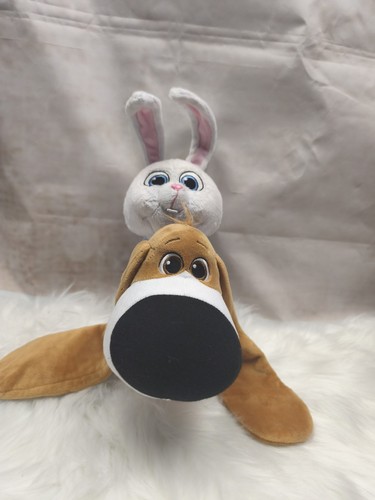 Pets hase snowball - 2,