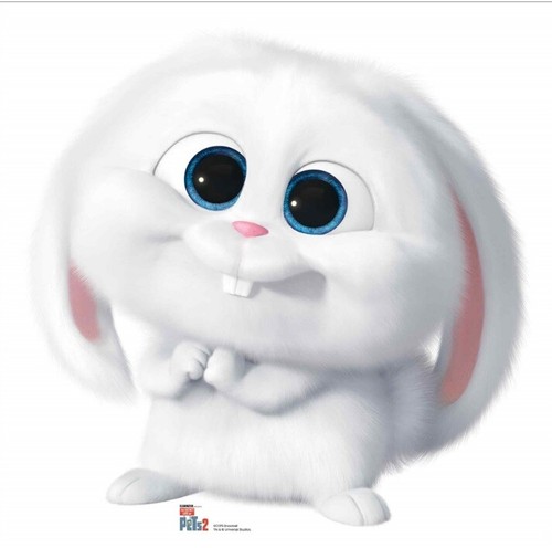 Snowball the rabbit pets - snowball,