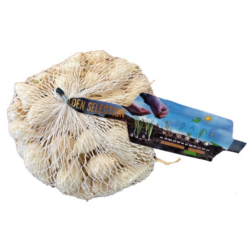 Wintersteckzwiebeln - (1kg),