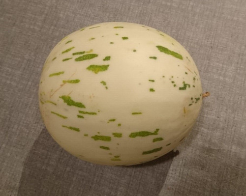 Honigmelone snowball samen - honigmelone,